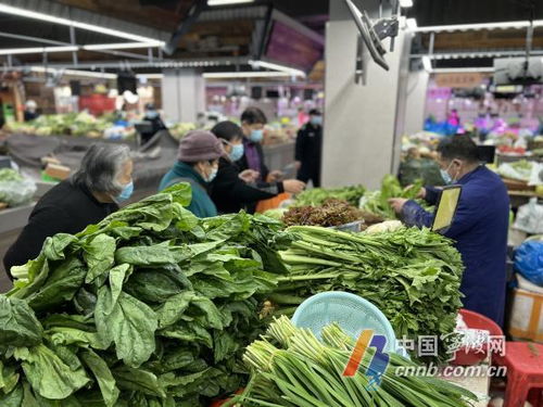 宁波市区五家菜场开设平价供应点 小青菜每公斤5元限量销售